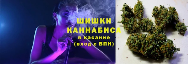 индика Вязники